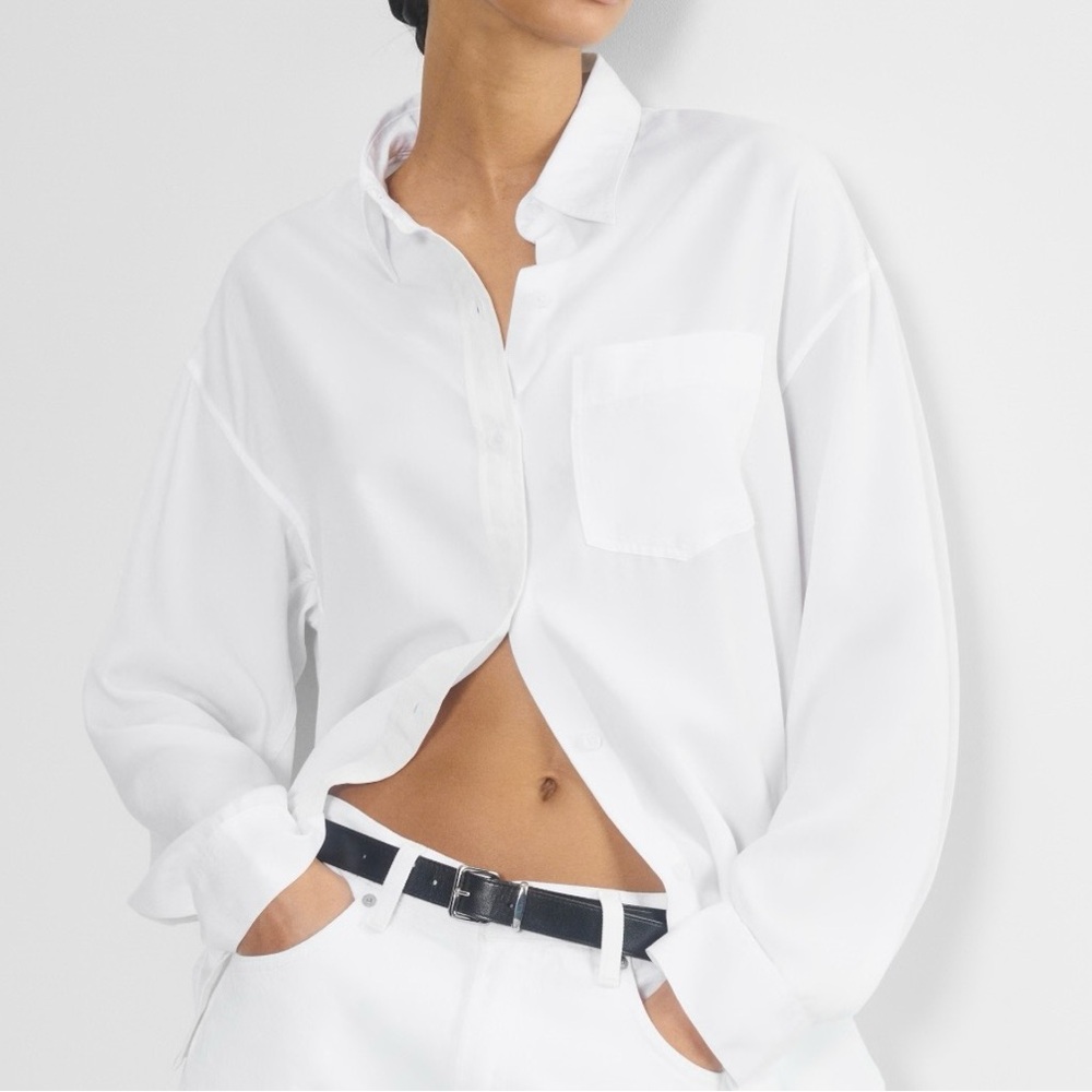 NWT aritzia Babaton Manual Shirt
